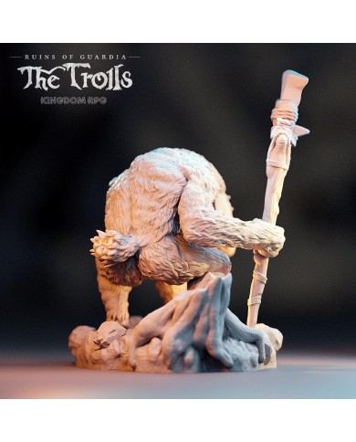 Troll - Zulgebo, the Shaman