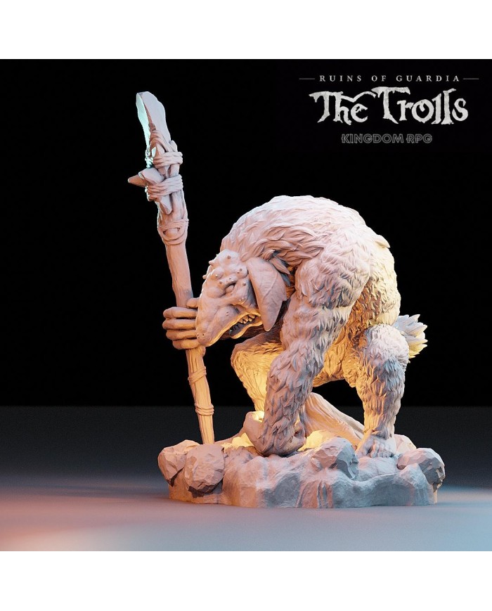 Troll - Zulgebo, the Shaman