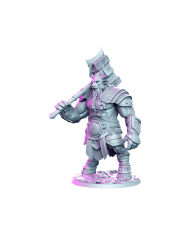 Human Barbarian - Kron